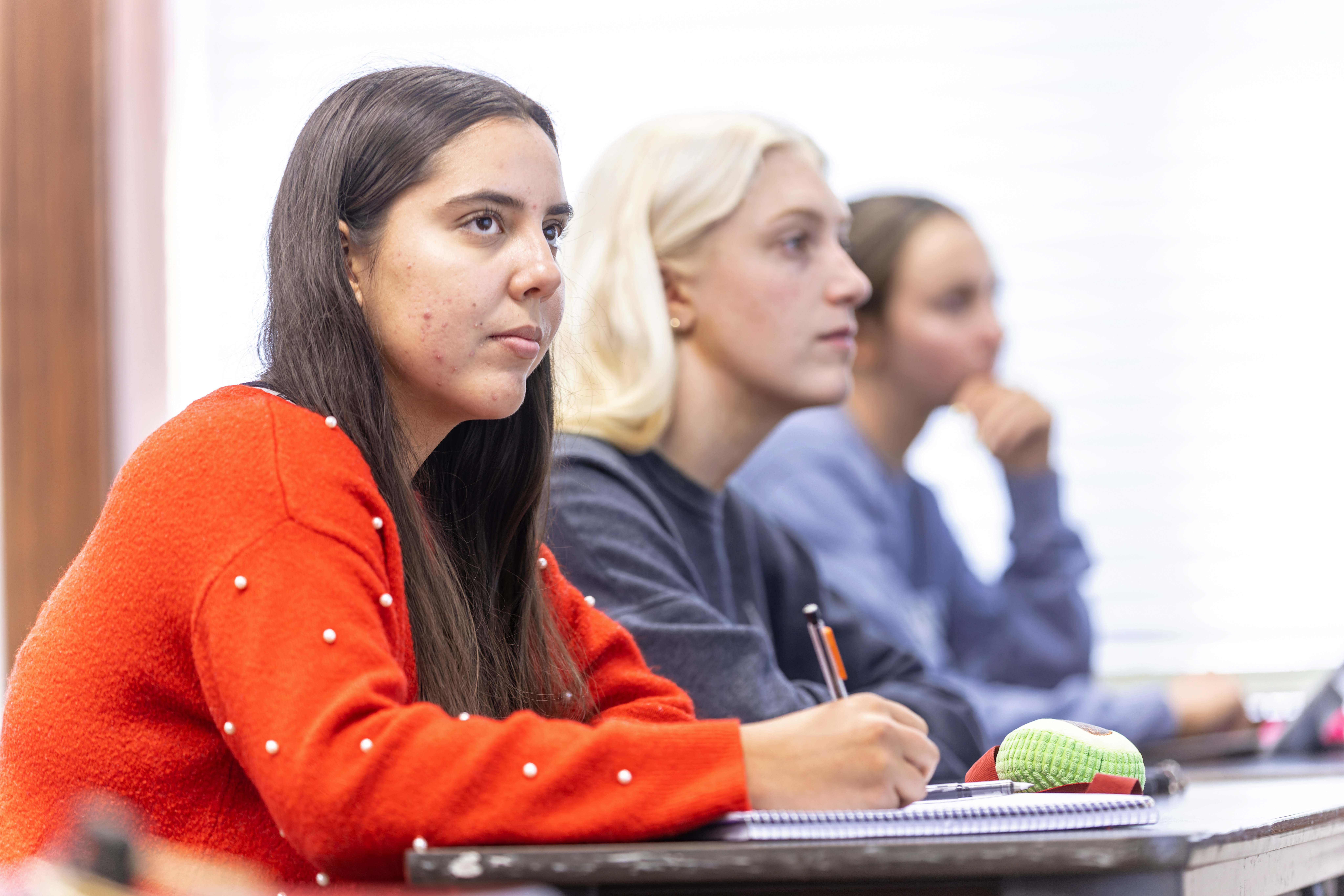 Modern Language Photo