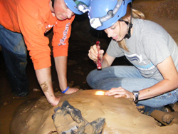 Amy Etherington, right, of Versailles, looks at a cave beetle in a local cave during her Campbellsville University Environmental Studies Internship Experience (CUES). John McDermond, a senior Howell Scholar from Florence, Ky., is at left.   