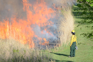 Burning of grassland at Clay Hill.